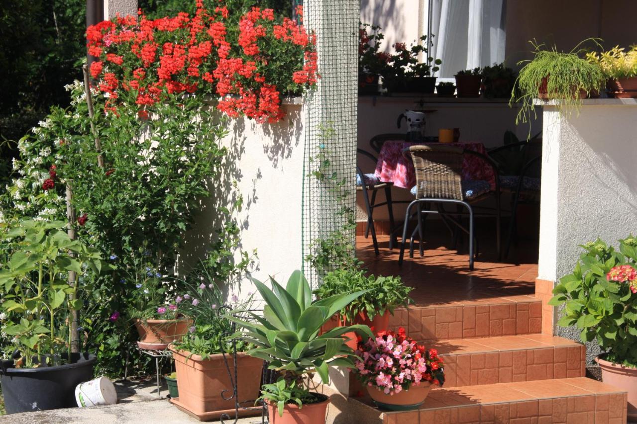 Apartman Rino Bašanija Esterno foto
