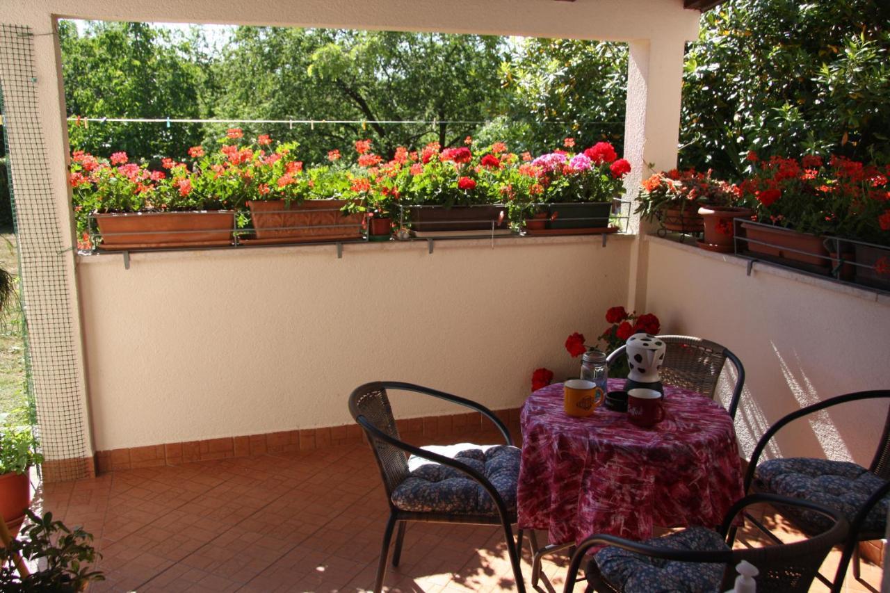 Apartman Rino Bašanija Esterno foto