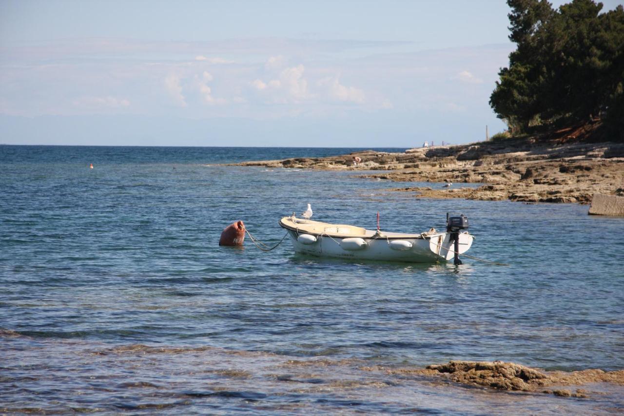 Apartman Rino Bašanija Esterno foto